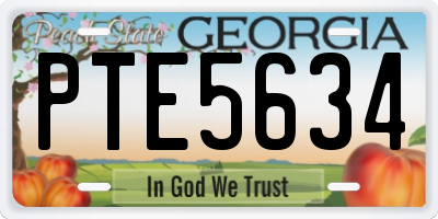 GA license plate PTE5634