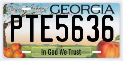 GA license plate PTE5636