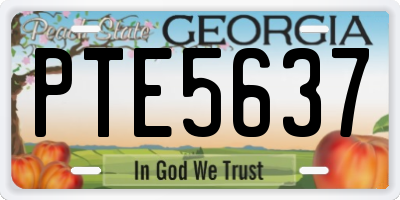 GA license plate PTE5637