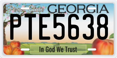 GA license plate PTE5638