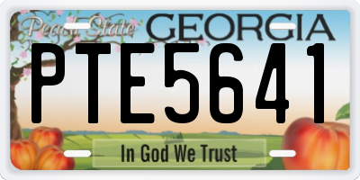GA license plate PTE5641