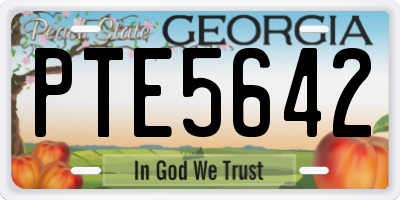 GA license plate PTE5642