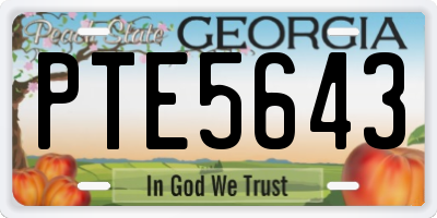 GA license plate PTE5643