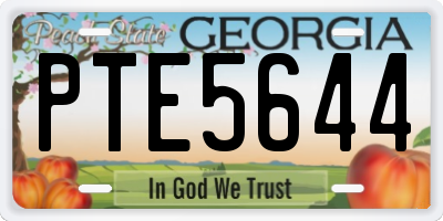 GA license plate PTE5644