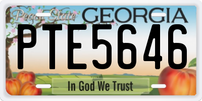 GA license plate PTE5646
