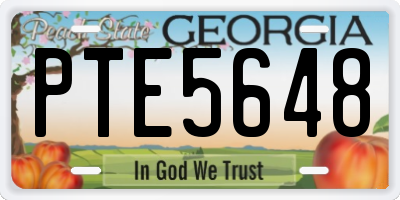 GA license plate PTE5648