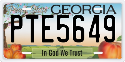 GA license plate PTE5649