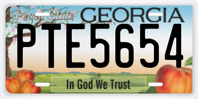 GA license plate PTE5654