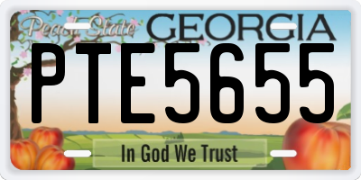 GA license plate PTE5655