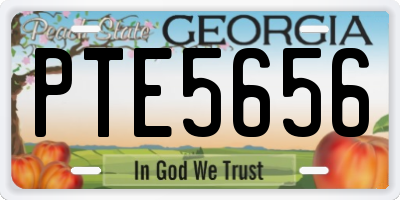 GA license plate PTE5656