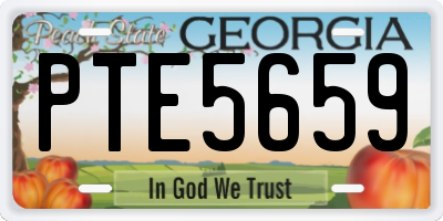 GA license plate PTE5659