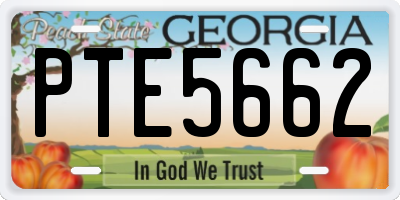 GA license plate PTE5662