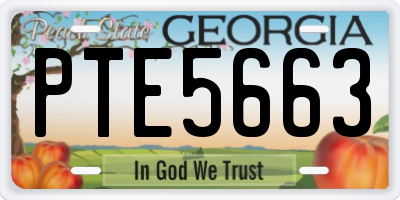GA license plate PTE5663