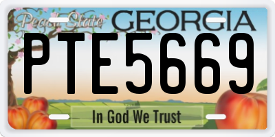GA license plate PTE5669