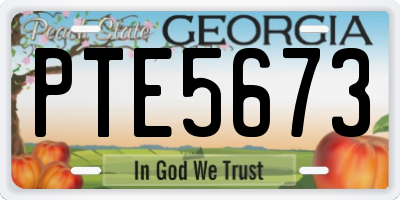 GA license plate PTE5673