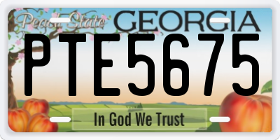 GA license plate PTE5675