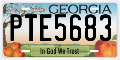 GA license plate PTE5683