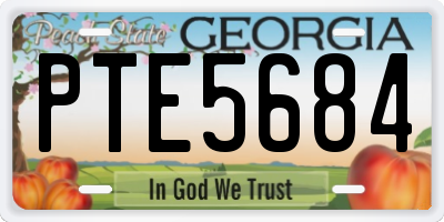 GA license plate PTE5684