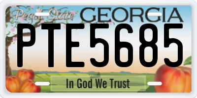 GA license plate PTE5685