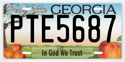 GA license plate PTE5687
