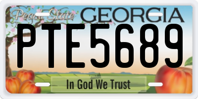 GA license plate PTE5689