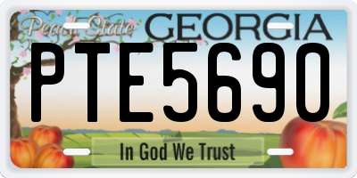 GA license plate PTE5690