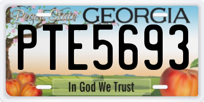 GA license plate PTE5693