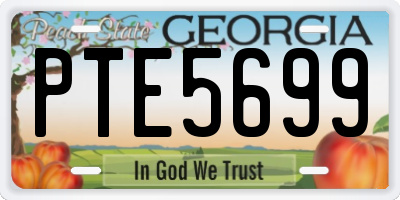 GA license plate PTE5699