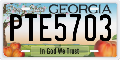 GA license plate PTE5703