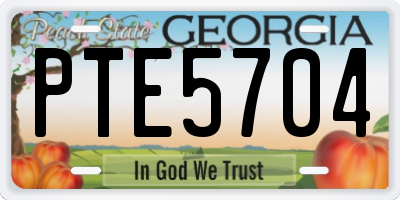 GA license plate PTE5704