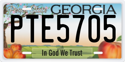 GA license plate PTE5705