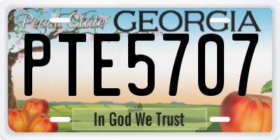 GA license plate PTE5707