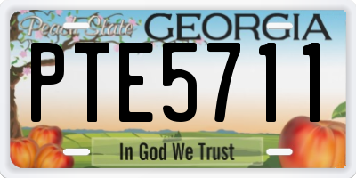 GA license plate PTE5711