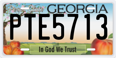 GA license plate PTE5713