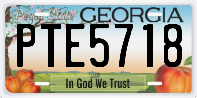 GA license plate PTE5718