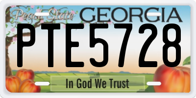GA license plate PTE5728