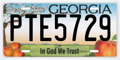 GA license plate PTE5729