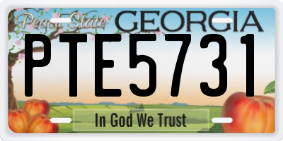 GA license plate PTE5731