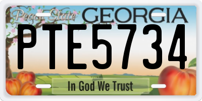GA license plate PTE5734