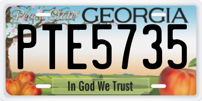 GA license plate PTE5735