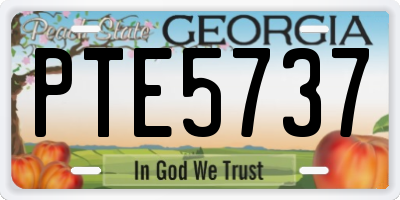 GA license plate PTE5737
