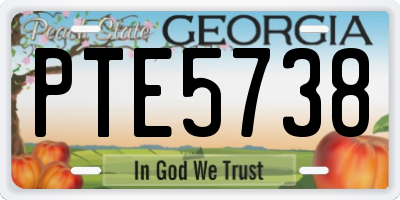 GA license plate PTE5738