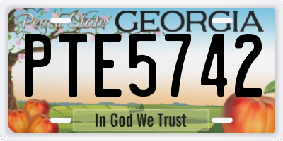 GA license plate PTE5742