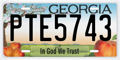 GA license plate PTE5743