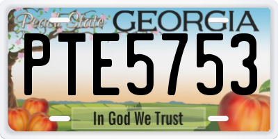 GA license plate PTE5753