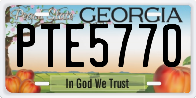 GA license plate PTE5770