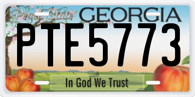GA license plate PTE5773