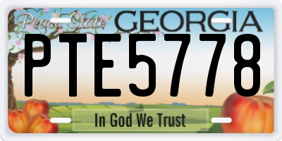 GA license plate PTE5778