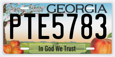 GA license plate PTE5783