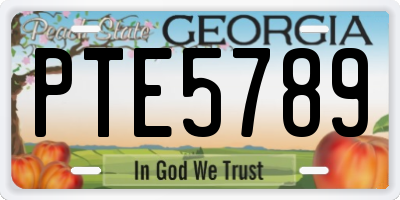 GA license plate PTE5789